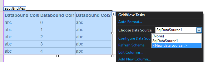 Visual Studio GridView